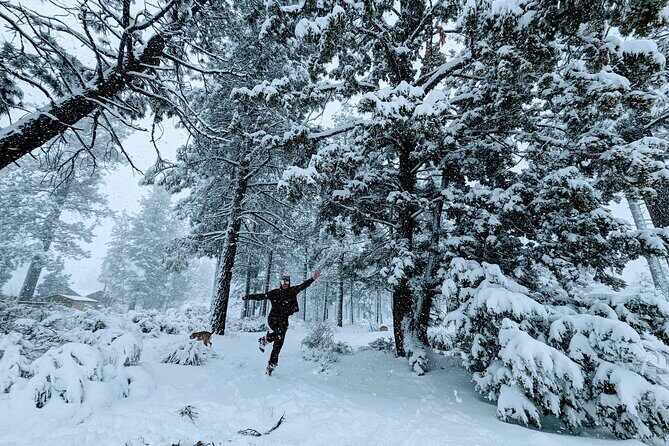 Snowshoe Tour Big Bear Lake with Hot Chocolate - Key Points