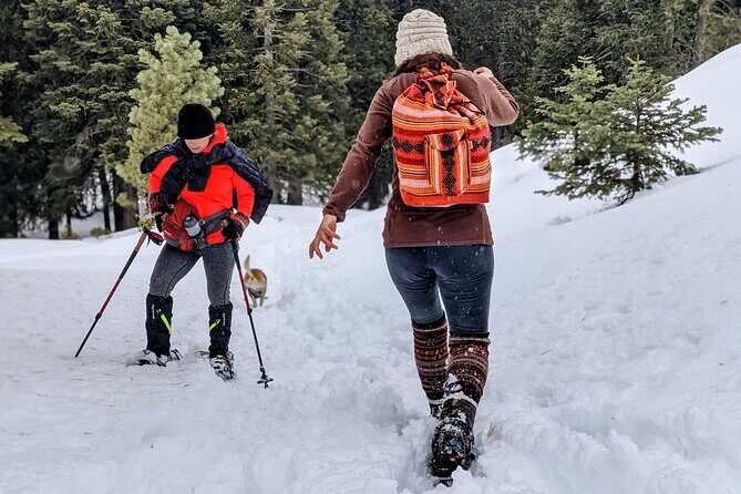 Snowshoe Tour Big Bear Lake with Hot Chocolate - What Past Travelers Say