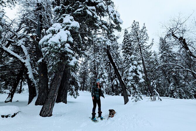 Snowshoe Tour Big Bear Lake with Hot Chocolate - Frequently Asked Questions