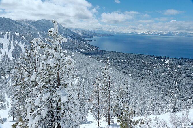 Snowshoe Tour in the Lake Tahoe Mountains - Discover Lake Tahoe’s Winter Beauty on Snowshoes