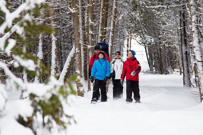 Snowshoe Tour in the Lake Tahoe Mountains - Analyzing the Experience Beyond the Surface