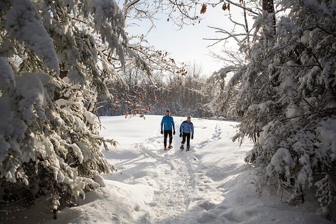 Snowshoe Tour in the Lake Tahoe Mountains - Practical Tips for Participants