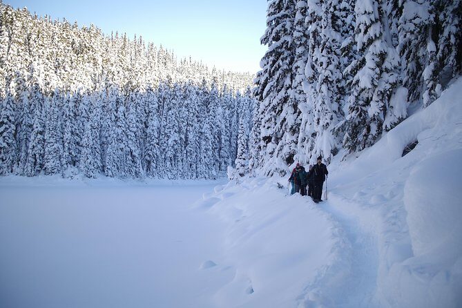 Snowshoe Tours - An In-Depth Look at the Snowshoe Tour in Whistler
