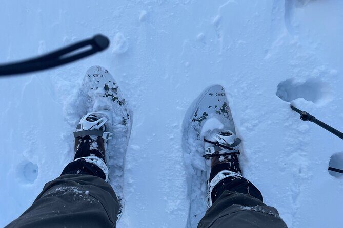Snowshoeing and Onsen Adventures in a Winter Wonderland -Sapporo. - Who Should Consider This Tour?