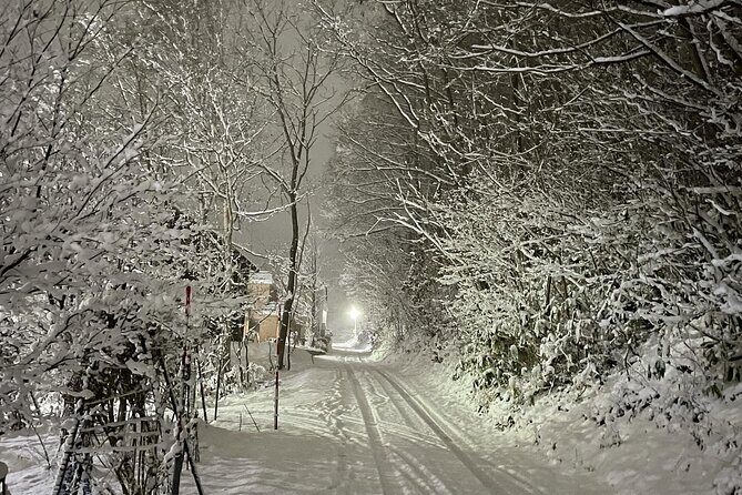 Snowshoeing and Onsen Adventures in a Winter Wonderland -Sapporo. - Final Thoughts