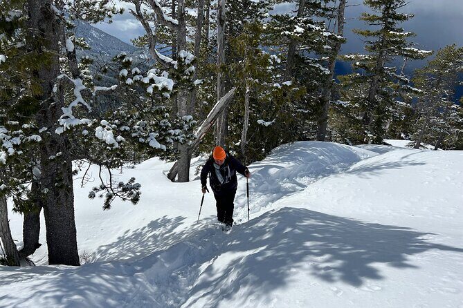 Snowshoeing at The Top of The Sea to Sky Gondola - The Itinerary: What to Expect
