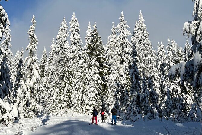 Snowshoeing at The Top of The Sea to Sky Gondola - Equipment and Convenience