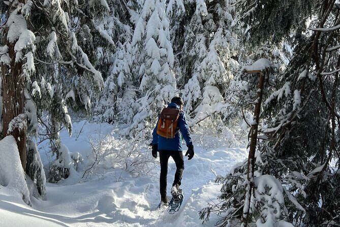 Snowshoeing at The Top of The Sea to Sky Gondola - The Value Proposition