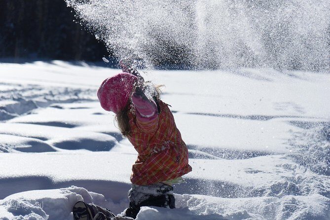 Snowshoeing in Kananaskis - What Makes this Snowshoe Tour Stand Out?