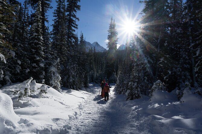 Snowshoeing in Kananaskis - The Overall Value