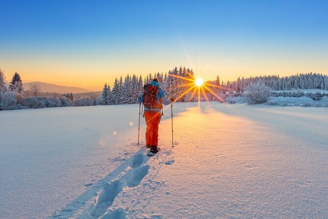 Snowshoeing In Vancouver's Winter Wonderland - Reviews Echo the Value