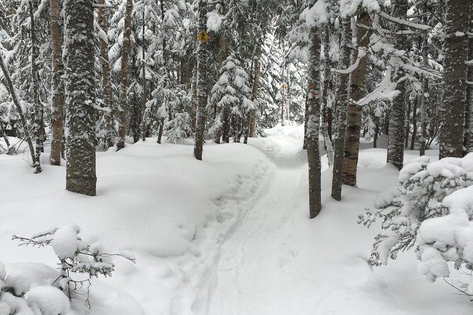 Snowshoeing Tour in Jacques-Cartier National Park - Practical Details and Value