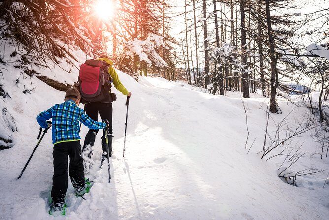 Snowshoeing Tour in Jacques-Cartier National Park - Authenticity and Who Will Love This