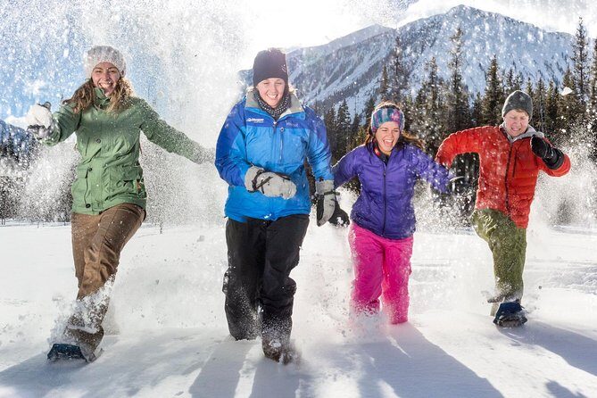 Snowshoeing Tour to the Paint Pots - Authentic Experiences and Honest Feedback from Travelers