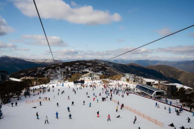 Snowy Escapes: Mount Buller Alpine Adventure - Who Will Love This Tour?