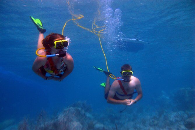 Snuba Adventure at Coral World Ocean Park - An Introduction to the Snuba Experience