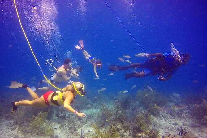 Snuba Adventure at Coral World Ocean Park - The View from the Water: Authentic Marine Encounters