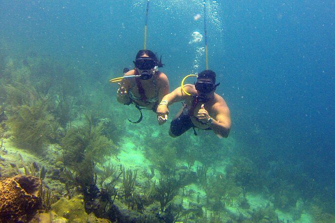Snuba Adventure at Coral World Ocean Park - The Value and Cost