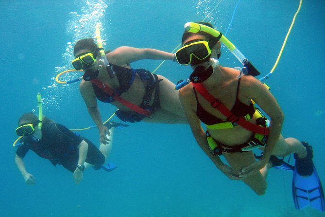 Snuba Adventure at Coral World Ocean Park - Practical Tips for Participants