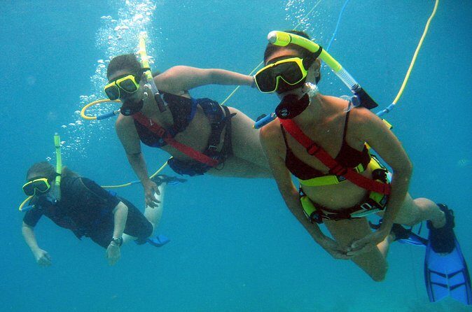 Snuba Adventure at Coral World Ocean Park - Authentic Experiences from Travelers