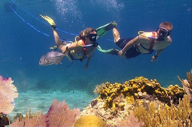 Snuba Adventure at Coral World Ocean Park - Who Should Consider This Tour?