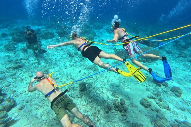 SNUBA Adventure in Curacao - Guided Shallow Dive - An In-Depth Look at the SNUBA Adventure