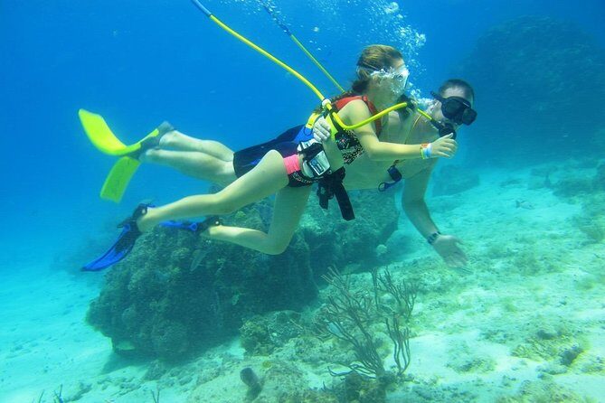 SNUBA Cozumel Underwater Adventure inside Chankanaab National Park - The Reviews: Authentic Voices