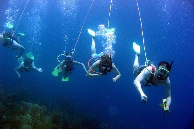 SNUBA Saint Lucia - The Value of the SNUBA Experience