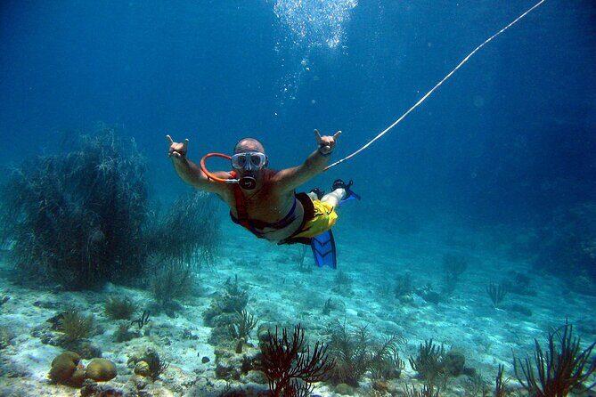 SNUBA Saint Lucia - What Past Travelers Say
