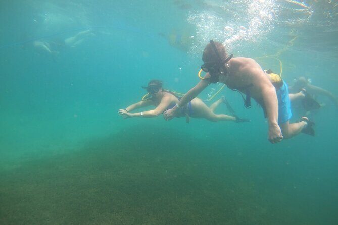 SNUBA Saint Lucia - Practical Tips for Your SNUBA Adventure