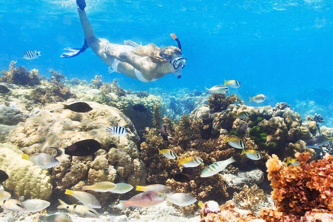 Snuba Snorkelking Parasailing and Catamaran Pack - A Full Dive into the Tour: What You’re Getting for Your Money