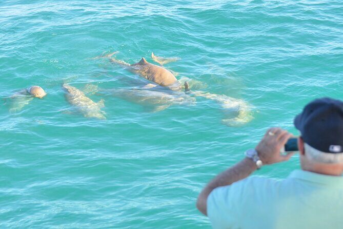 Snubfin Dolphin Eco Cruise from Broome - The Sum Up