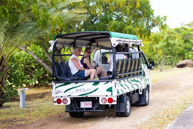 SoCoHo Jeep Safari - Historical Sites - Lunch - Beach - Who Will Love This Tour?