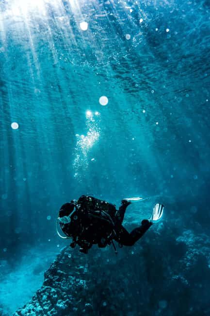 Socotra Diving Safari: 8-Day Group Tour in Protected Waters - Exploring Socotra’s Underwater World