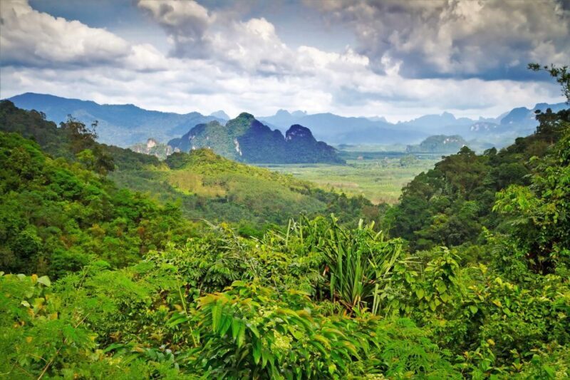 Sok River: Bamboo Raft Ride, Monkey Temple & View Point Tour - Who Will Love This Tour?