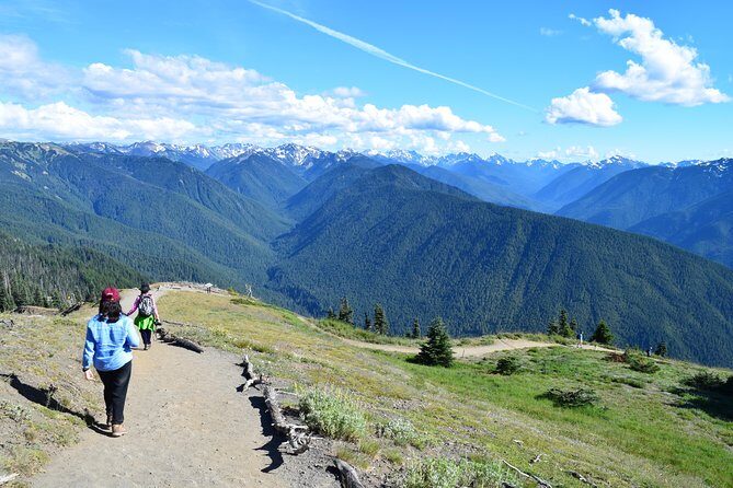 Sol Duc, Lake Crescent, and Hurricane Ridge Guided Tour in Olympic National Park - An In-Depth Look at the Olympic National Park Guided Tour