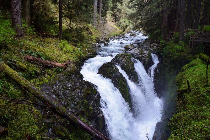 Sol Duc, Lake Crescent, and Hurricane Ridge Guided Tour in Olympic National Park - Who Will Love This Tour?