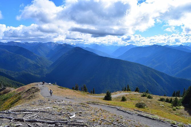 Sol Duc, Lake Crescent, and Hurricane Ridge Guided Tour in Olympic National Park - The Sum Up