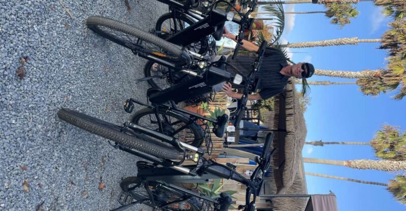 Solana Beach: Electric Bike Rental with 5-Level Pedal Assist - The Scenic Experience