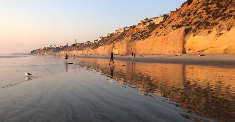 Solana Beach: Full Day Skimboard Rental - Key Points