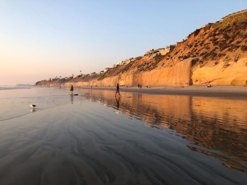Solana Beach: Full Day Skimboard Rental - Who Will Love This Experience?