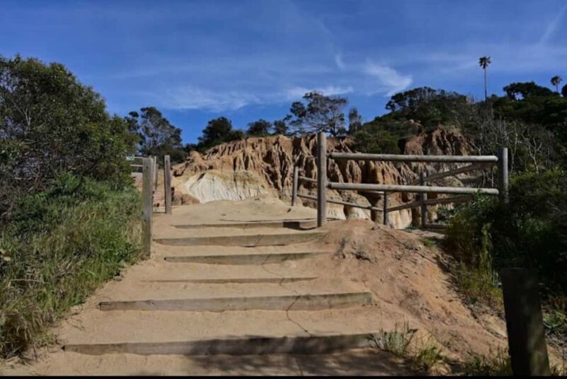 Solana Beach: Guided Hiking/Bike Tour to Annies Canyon - Why We Think This Tour Is Worth It