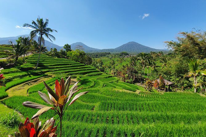 Solo or Group Tour - 10 Hours, 5 Persons Max - A Closer Look at the Bali Private Tour