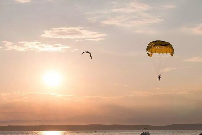 Solo Parasailing Experience in Puerto Vallarta - The Flight Itself: Views and Wildlife