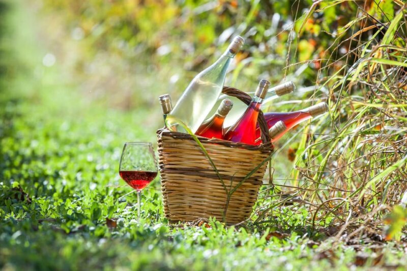 Solvang: Santa Ynez Valley Wine Tours w/ Lunch & Tastings - Key Points