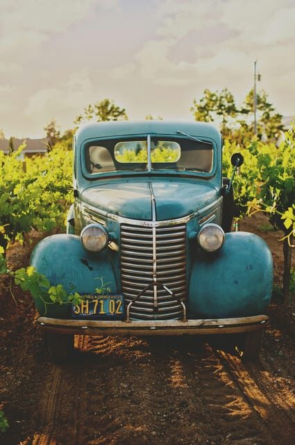 Solvang: Santa Ynez Valley Wine Tours w/ Lunch & Tastings - Authentic Experiences and What Travelers Say