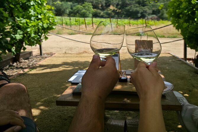Solvang Ventura Wine Tour by Car - Final Destination: Solvang