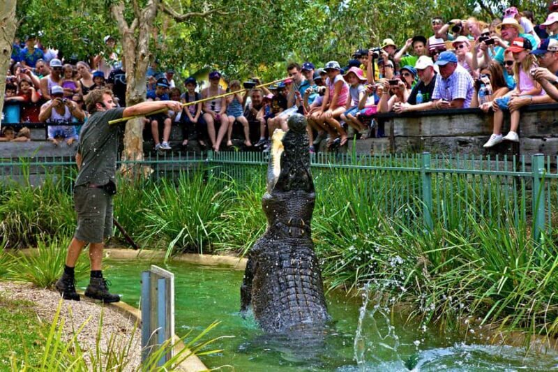 Somersby: Australian Reptile Park Day Pass - 9am to 5pm - FAQs