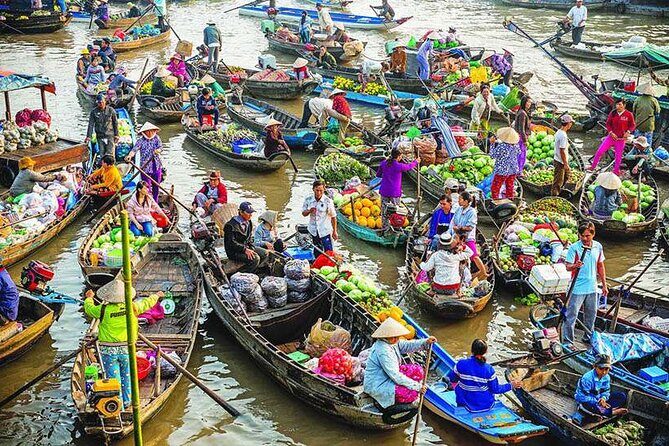 Song Xanh Sampan Mekong Delta Cruise 3 Days 2 Nights - A Balanced View: Pros and Cons