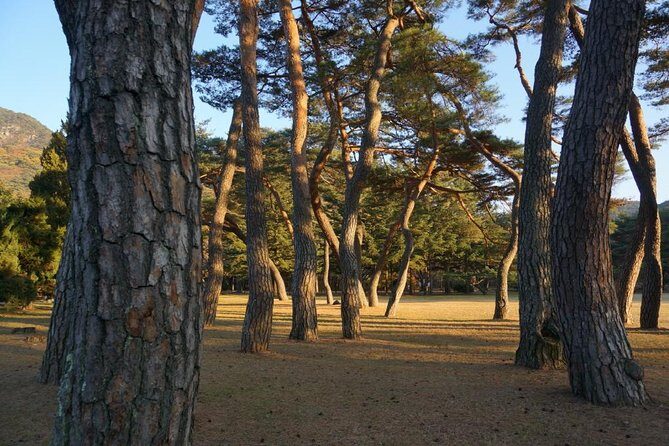 Songnisan National Park & Beopjusa Temple UNESCO site Private Tour - Exploring the Journey: From Seoul to Songnisan